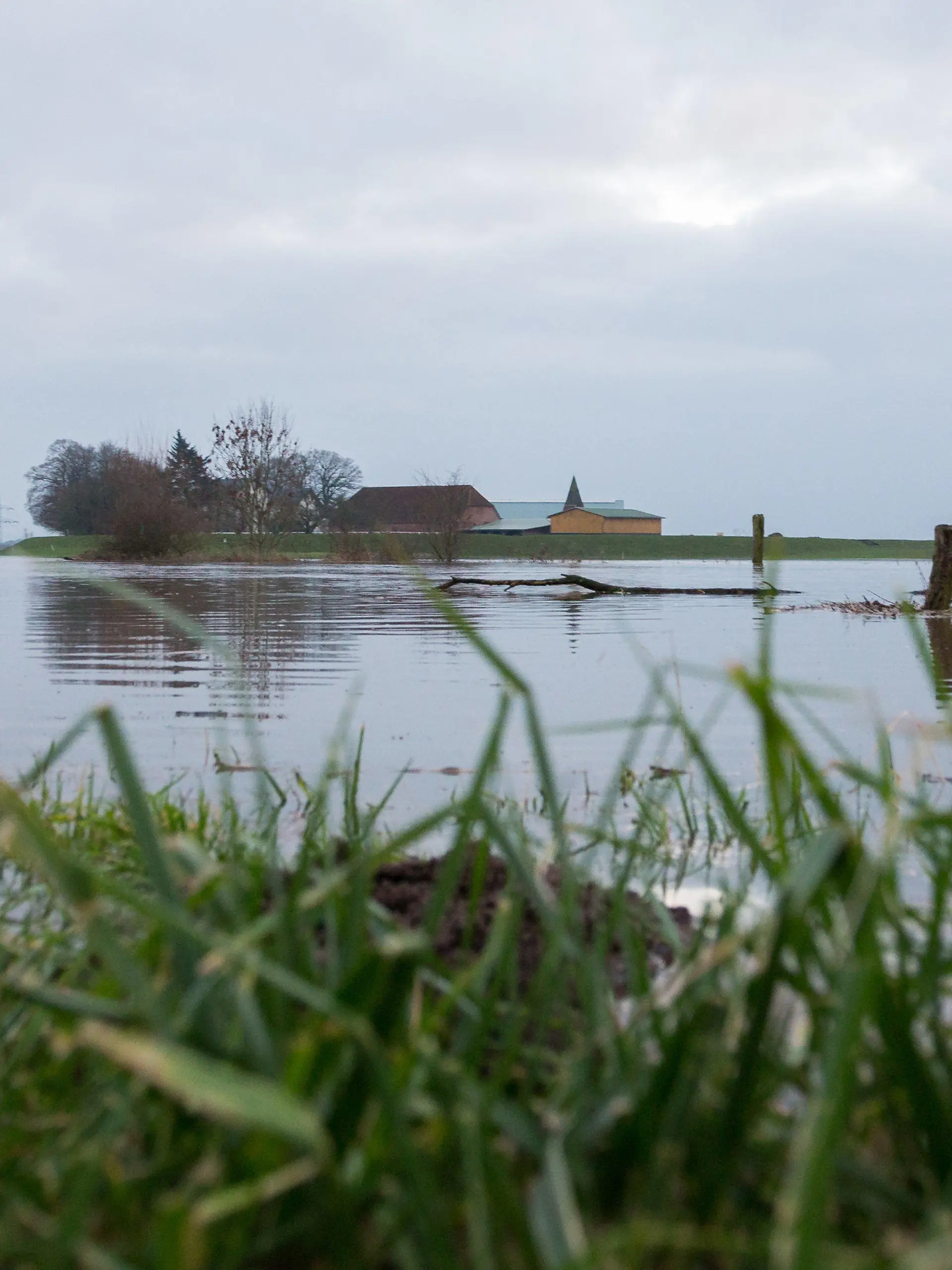 Durch das Hochwasser der Weser sind am 15.12.2017 in der Nähe von Verden (Aller; Niedersachsen) die Wiesen überflutet. Foto: Mohssen Assanimoghaddam/dpa +++(c) dpa - Bildfunk+++
