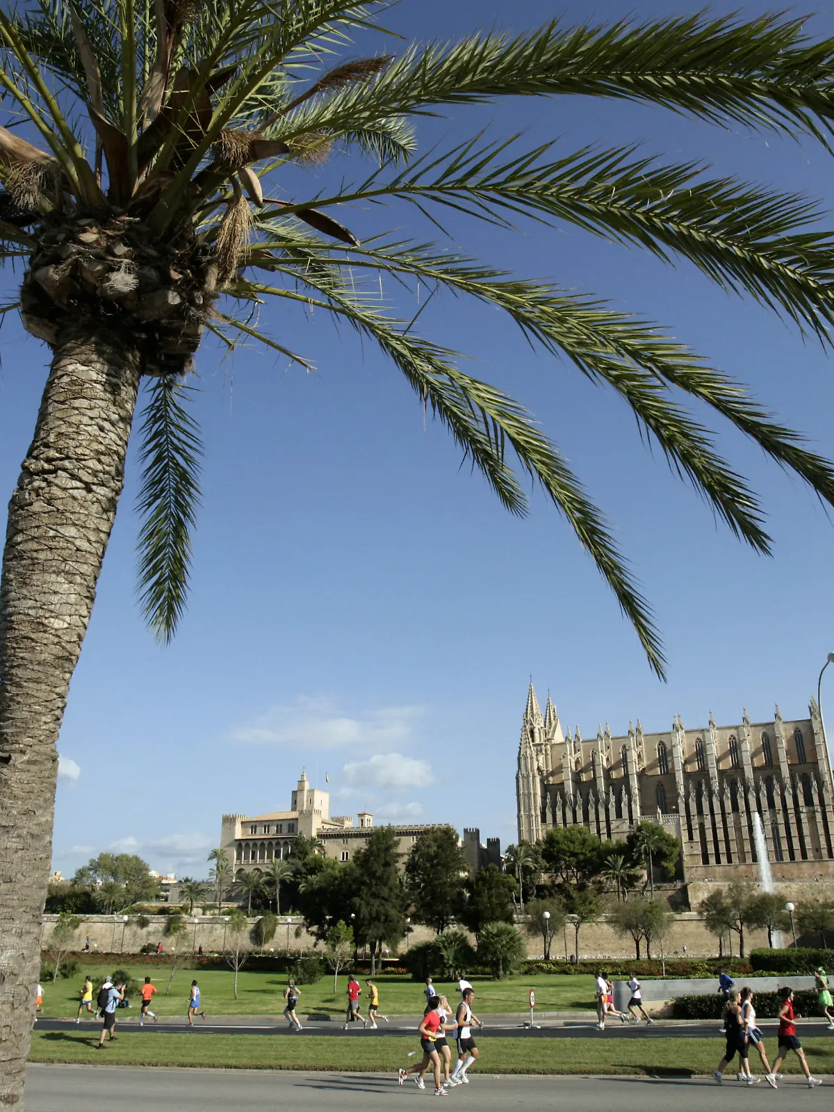 Bei sonnigen 22 Grad sind am Sonntag (21.10.2007) Läufer beim 4. TUI-Marathon in Palma de Mallorca (Spanien) vor der Kathedrale "La Seu" unterwegs. Insgesamt starteten ca. 4.700 Läufer, darunter viele Prominente aus Deutschland, über die drei Distanzen 10 Kilometer, Halb- und Marathon. Foto: Thomas Schulz +++(c) dpa - Report+++ | Verwendung weltweit