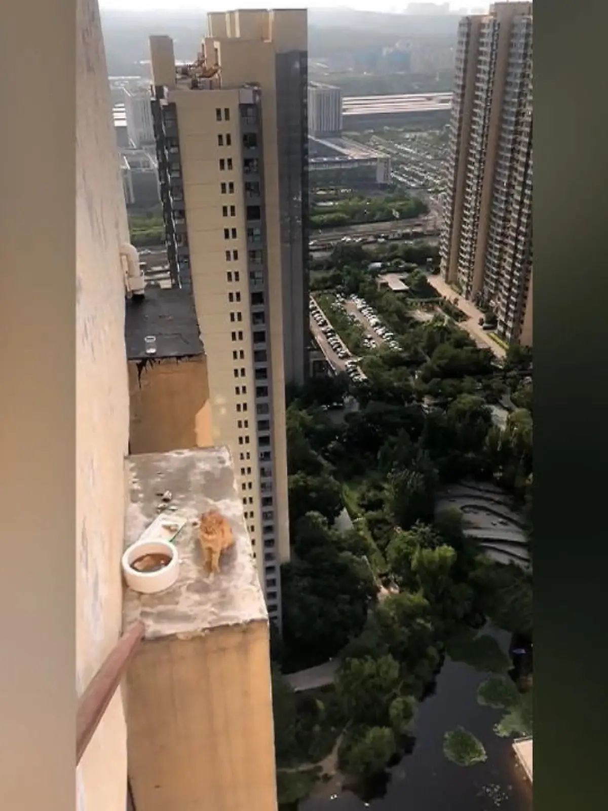 Im nördlichen China mussten Anwohner einer Katze aus einer misslichen Lage helfen. In schwindelerregender Höhe saß die Katze 2 Wochen auf einer Klimaanlage fest. Durch den Einsatz der Anwohner konnte sie schließlich gerettet werden. Die ganze spektakuläre Aktion im Video.