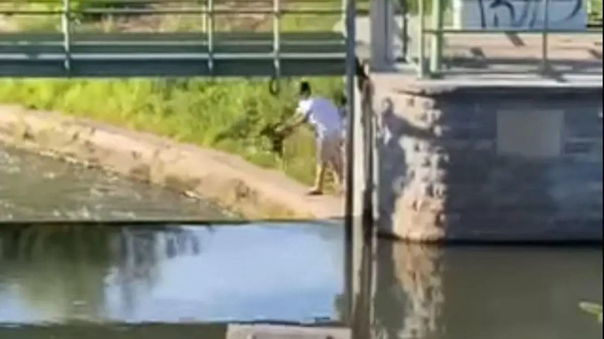 Mann in Eisenach wirft Welpen in den Fluss