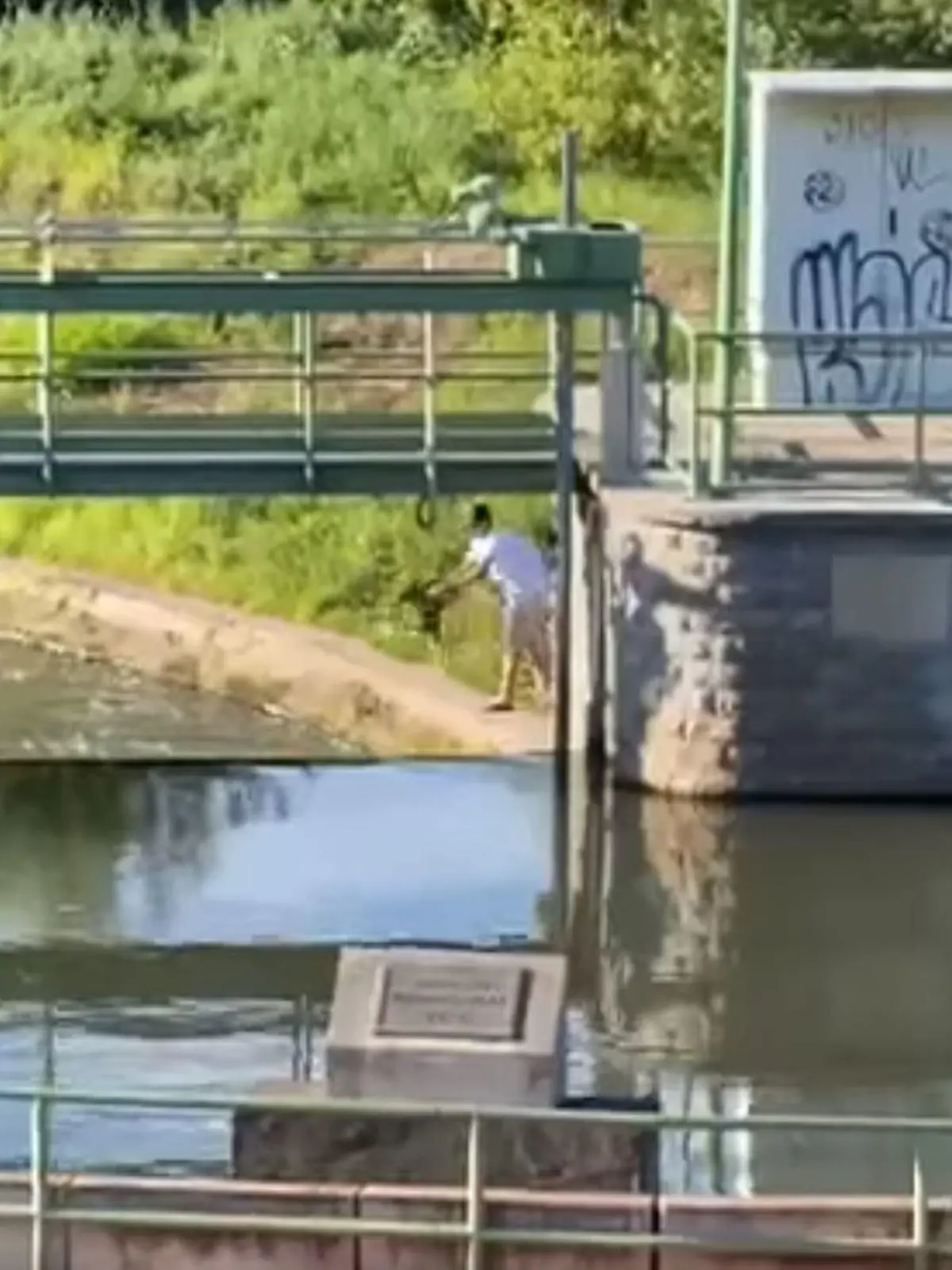 Mann in Eisenach wirft Welpen in den Fluss
