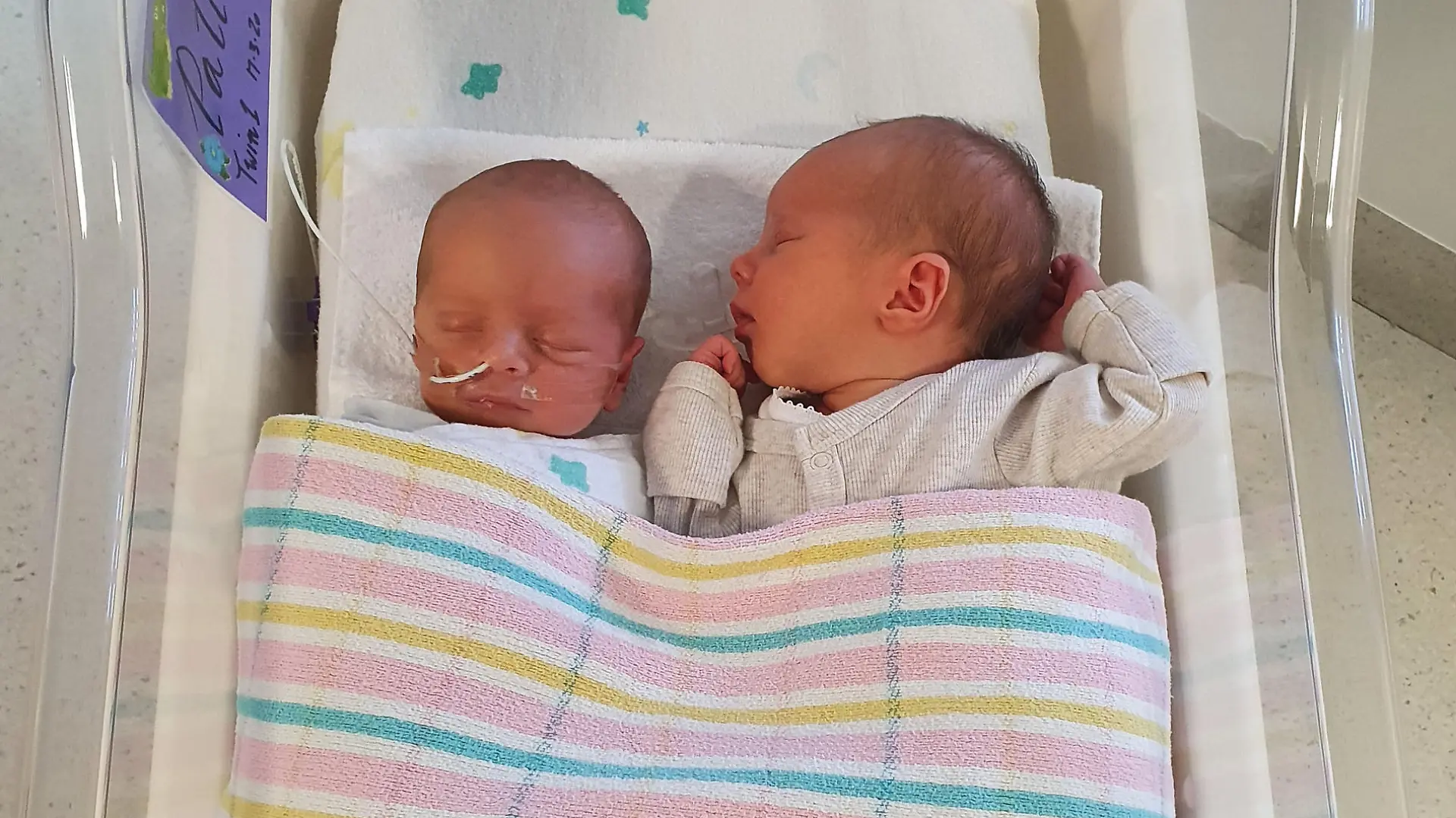 Kimberley Tripp / CATERS NEWS (PICTURED- The twins in the hospital) A mum who thought couldn't have kids got more than she bargained for after falling pregnant TWICE in one week – with one baby being conceived through IVF and the other naturally. Ever since she was a little girl, Kimberley Tripp longed to be a mother but after being diagnosed with polycystic ovarian syndrome (PCOS) at 15, she was told she might never be able to have children. But the 34-year-old from Brisbane, Queensland, Australia, said she always held on to a smidgen of hope that her dream of having a family might one day be possible – but after years of trying to conceive naturally, she knew it was time to consider her options. After getting into shape and preparing herself mentally, Kimberley and her husband Adrian spent thousands undergoing four rounds of IVF – and in July 2019, she was overjoyed to discover she was pregnant after having one of her embryos transferred. But little did the office manager know her excitement was about to be doubled, after a doctor's appointment confirmed she was expecting twins – with one being conceived through IVF, and the other naturally, approximately one week apart. -SEE CATERS COPY