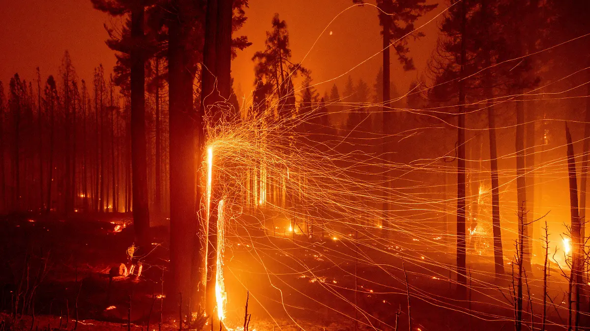 18.08.2021, USA, Sly Park: Glutreste von brennenden Bäumen fliegen während der Waldbrände des so genannten Caldor-Feuer auf dem Mormom Emigrant Trail östlich von Sly Park (Langzeitbelichtung). Foto: Ethan Swope/FR171736 AP/dpa +++ dpa-Bildfunk +++