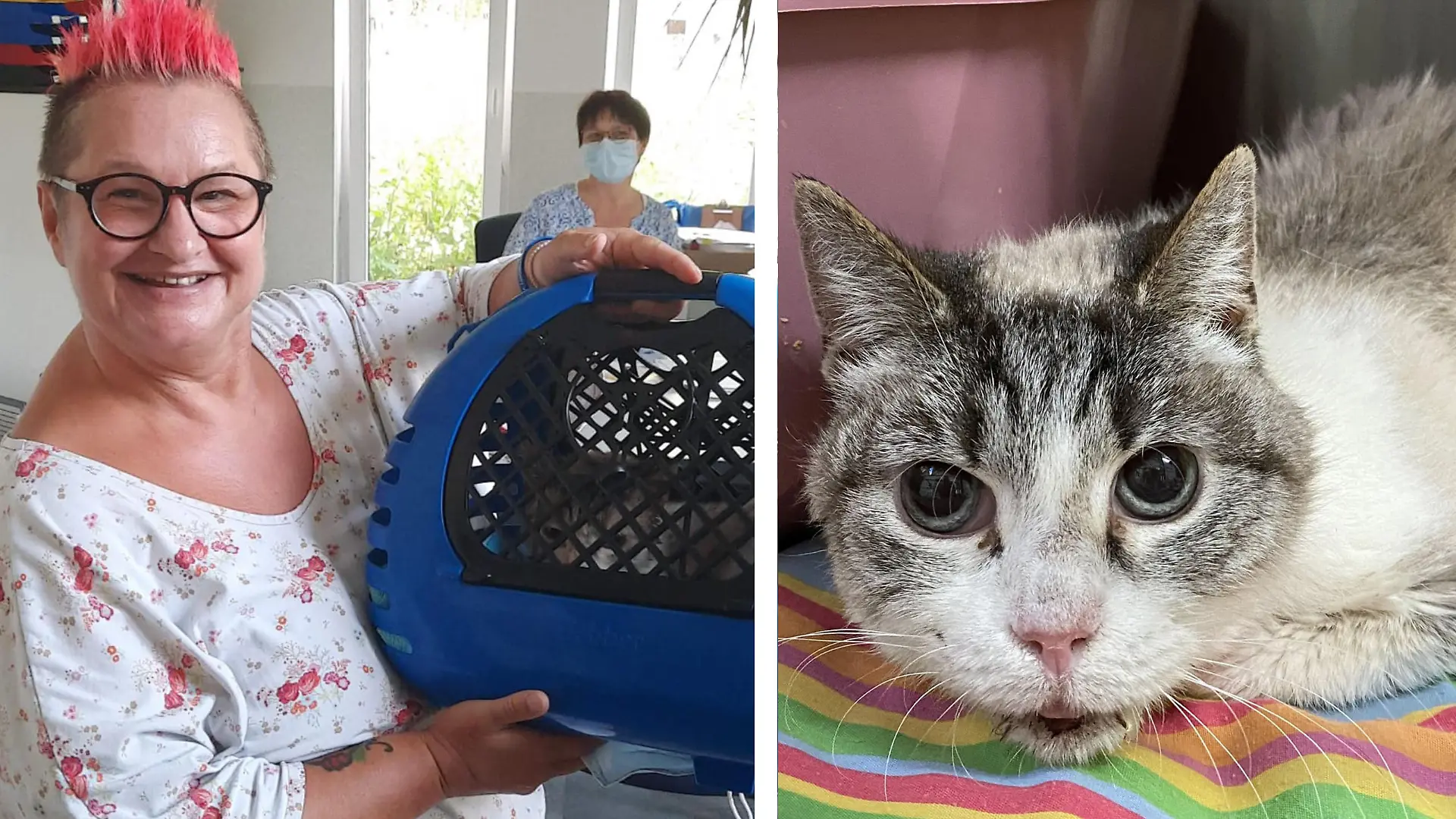 So glücklich strahlt Musjas neue Besitzerin, als sie die Katze im Tierheim abholt.