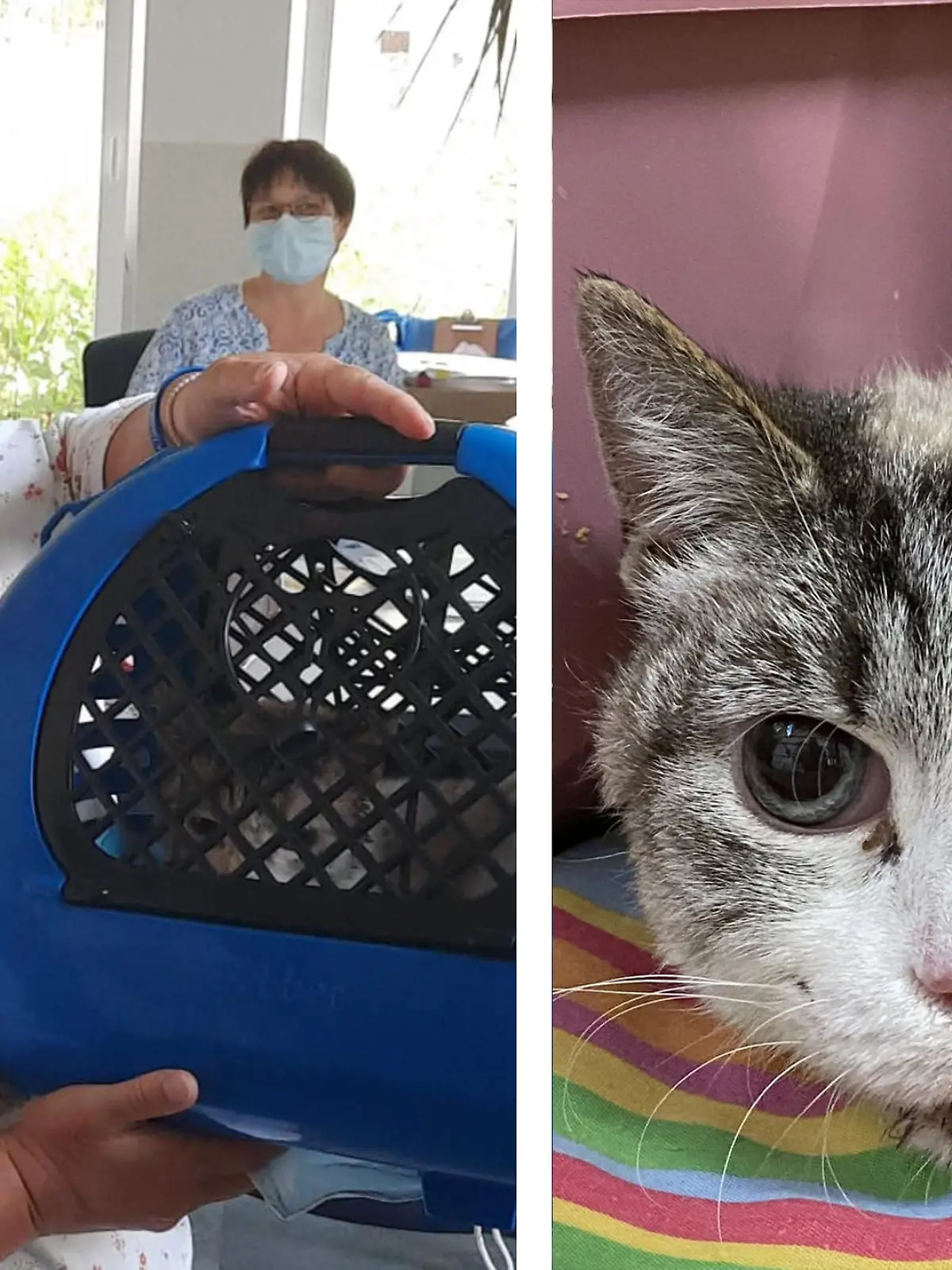 So glücklich strahlt Musjas neue Besitzerin, als sie die Katze im Tierheim abholt.