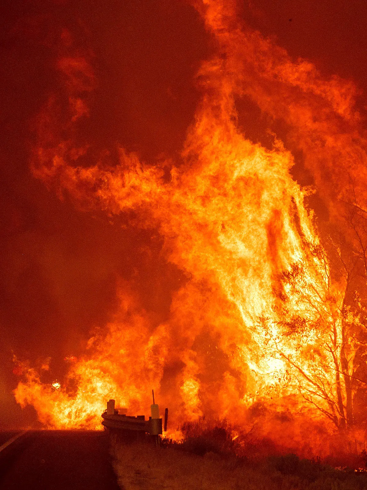 17.08.2021, USA, Lassen County: Das Dixie-Feuer brennt südlich von Janesville am Highway 395. Aufgrund der kritischen Wetterlage in Nordkalifornien droht die Ausbreitung mehrerer Waldbrände in der Region. Foto: Noah Berger/AP/dpa +++ dpa-Bildfunk +++