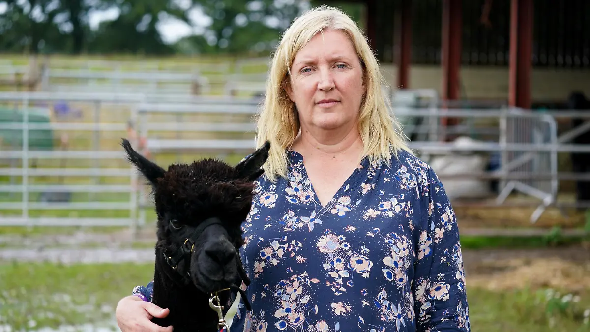 ARCHIV - 06.08.2021, Großbritannien, Wooton Under Edge: Das Alpaka mit dem Namen «Geronimo» und seine Besitzerin Helen Macdonald stehen auf der Shepherds Close Farm. Das Tier wurde zweimal positiv auf Rindertuberkulose getestet und soll auf Anordnung des Ministeriums für Umwelt, Ernährung und ländliche Angelegenheiten getötet werden. Das britische Umweltministerium stimmte nun einer Anhörung mit der Züchterin zu. (zu dpa "Neue Gnadenfrist für todgeweihtes Alpaka - Anhörung mit Züchterin") Foto: Jacob King/PA Wire/dpa +++ dpa-Bildfunk +++