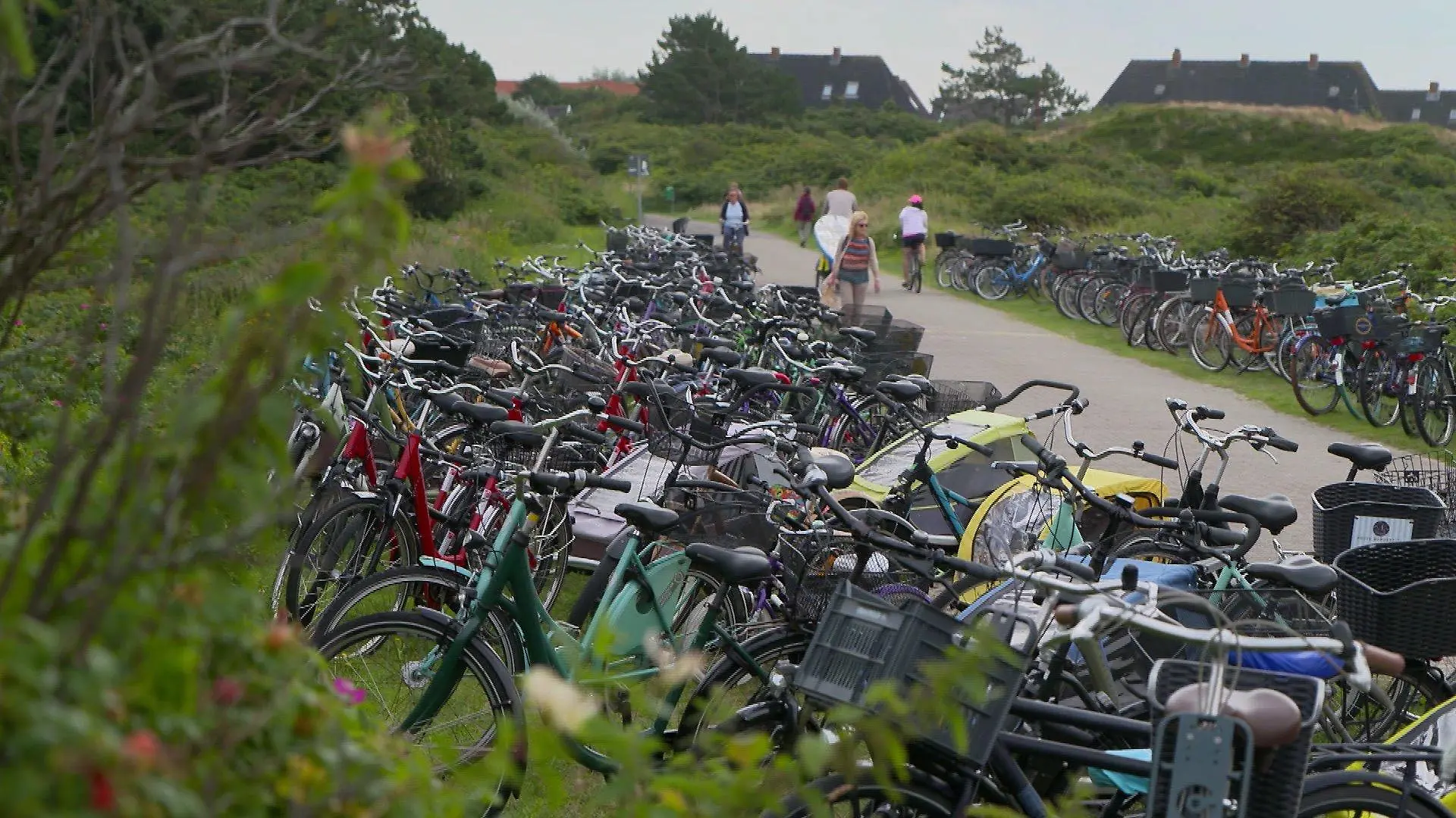 Obwohl es auf Langeoog keine Autos gibt, hat die Nordseeinsel trotzdem ein Problem mit Falschparkern.