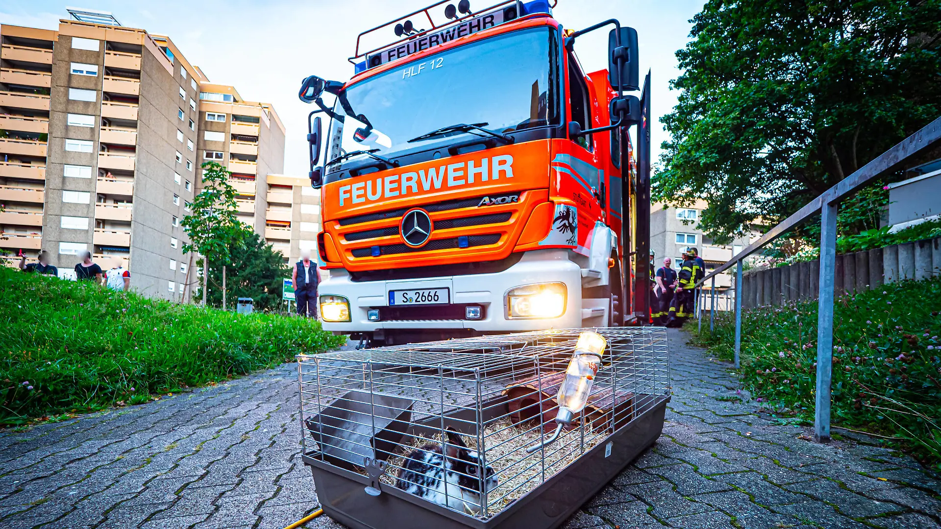 Pommes machen geht völlig schief Hochhausbrand - Löschversuch mit Wasser führt zur Fettexplosion - Feuerwehr retten Hase Pommes machen geht völlig schief Hochhausbrand - Löschversuch mit Wasser führt zur Fettexplosion - Feuerwehr retten Hase Baden-Württemberg, 70195 Stuttgart, Deutschland *** Making fries goes completely wrong high-rise fire extinguishing attempt with water leads to fat explosion fire brigade rescue Hase Making fries goes completely wrong high-rise fire extinguishing attempt with water leads to fat explosion fire brigade rescue Hase Baden Württemberg, 70195 Stuttgart, Germany Copyright: 7aktuell.dex xAlexanderxHald 