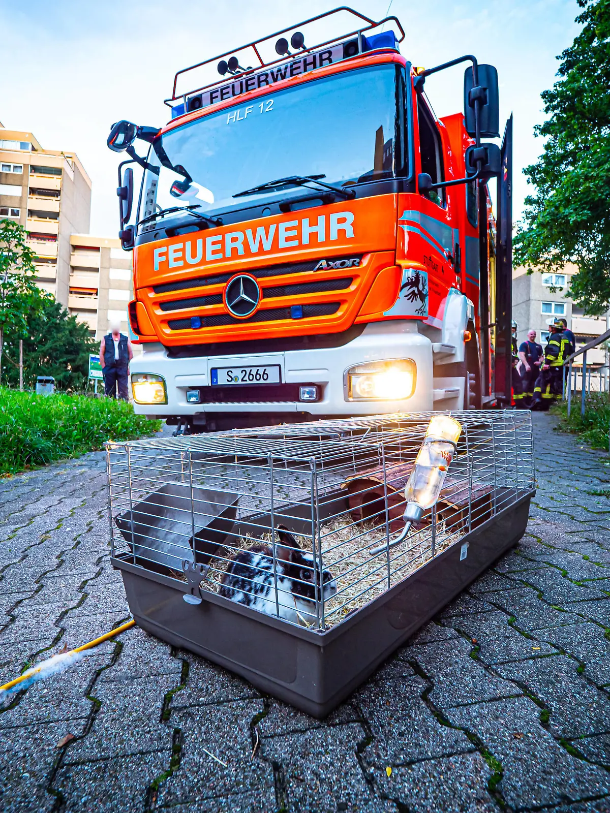 Pommes machen geht völlig schief Hochhausbrand - Löschversuch mit Wasser führt zur Fettexplosion - Feuerwehr retten Hase Pommes machen geht völlig schief Hochhausbrand - Löschversuch mit Wasser führt zur Fettexplosion - Feuerwehr retten Hase Baden-Württemberg, 70195 Stuttgart, Deutschland *** Making fries goes completely wrong high-rise fire extinguishing attempt with water leads to fat explosion fire brigade rescue Hase Making fries goes completely wrong high-rise fire extinguishing attempt with water leads to fat explosion fire brigade rescue Hase Baden Württemberg, 70195 Stuttgart, Germany Copyright: 7aktuell.dex xAlexanderxHald 