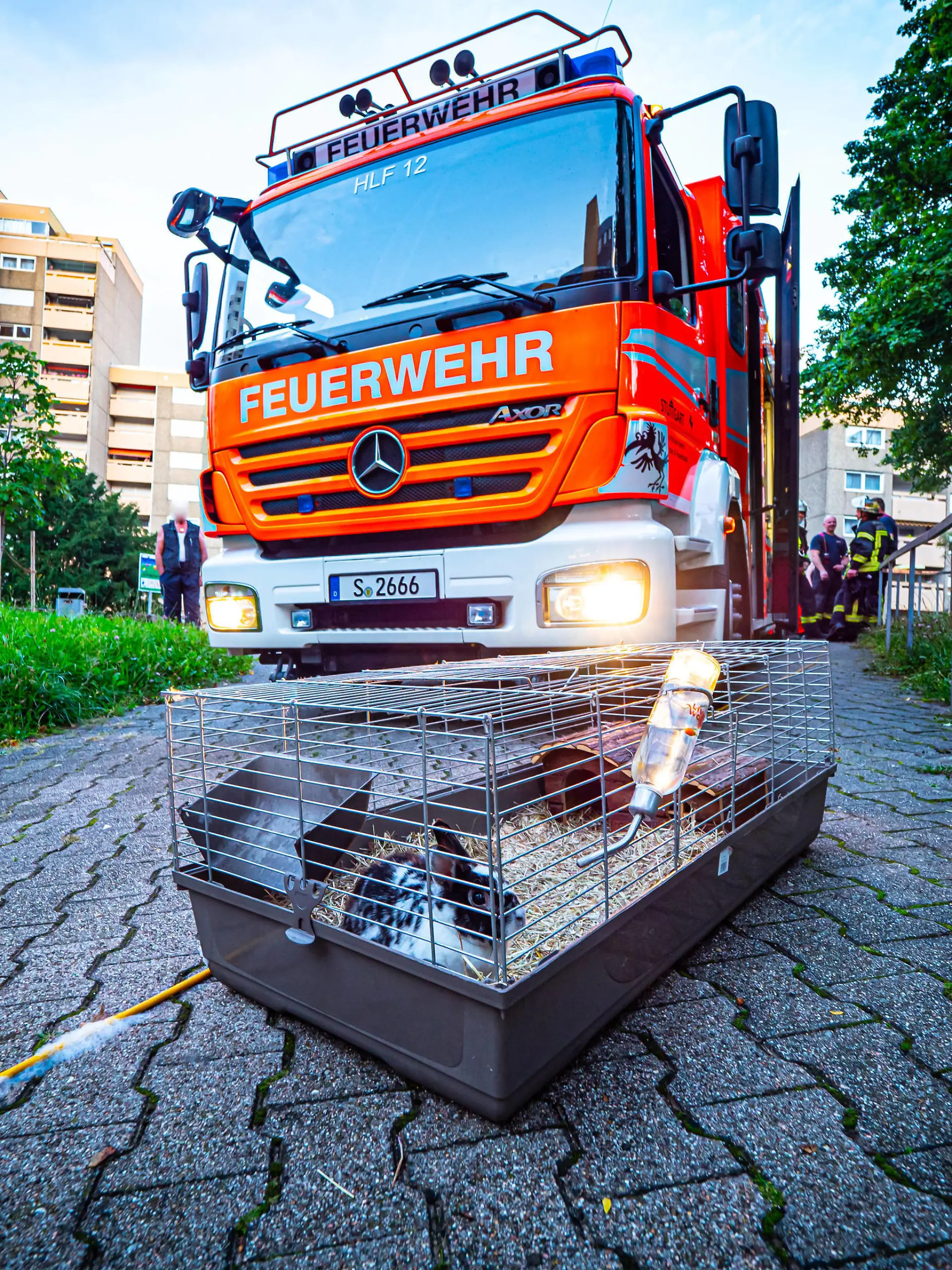 Pommes machen geht völlig schief Hochhausbrand - Löschversuch mit Wasser führt zur Fettexplosion - Feuerwehr retten Hase Pommes machen geht völlig schief Hochhausbrand - Löschversuch mit Wasser führt zur Fettexplosion - Feuerwehr retten Hase Baden-Württemberg, 70195 Stuttgart, Deutschland *** Making fries goes completely wrong high-rise fire extinguishing attempt with water leads to fat explosion fire brigade rescue Hase Making fries goes completely wrong high-rise fire extinguishing attempt with water leads to fat explosion fire brigade rescue Hase Baden Württemberg, 70195 Stuttgart, Germany Copyright: 7aktuell.dex xAlexanderxHald 