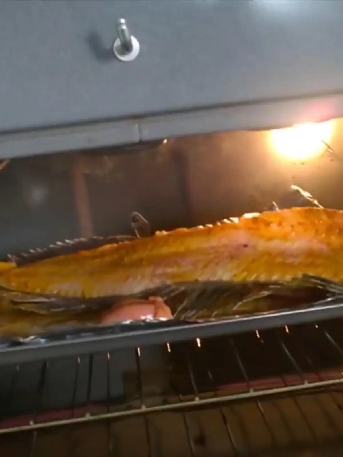 Bild zu: "Dieses Fischfilet lebt!"