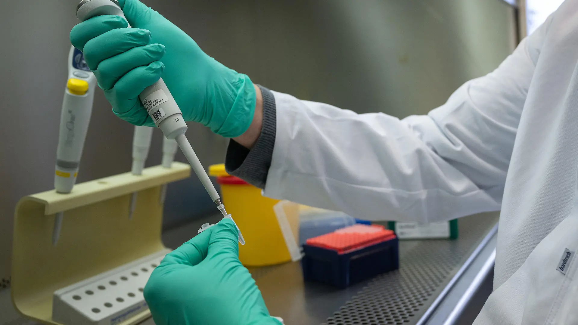 ARCHIV - 03.02.2021, Baden-Württemberg, Stuttgart: Ein Forscher zeigt im Landesgesundheitsamt Baden-Württemberg, wie ein PCR-Test für die Analyse auf Mutationen des Coronavirus vorbereitet wird. (zu dpa: «Tübinger Forscher haben schon 230 Corona-Mutationen analysiert)») Foto: Sebastian Gollnow/dpa +++ dpa-Bildfunk +++