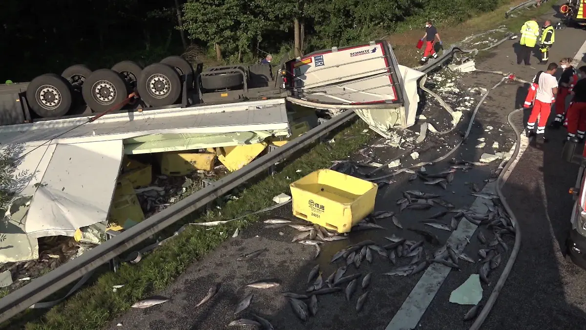LKW-Unfall mit Fischen