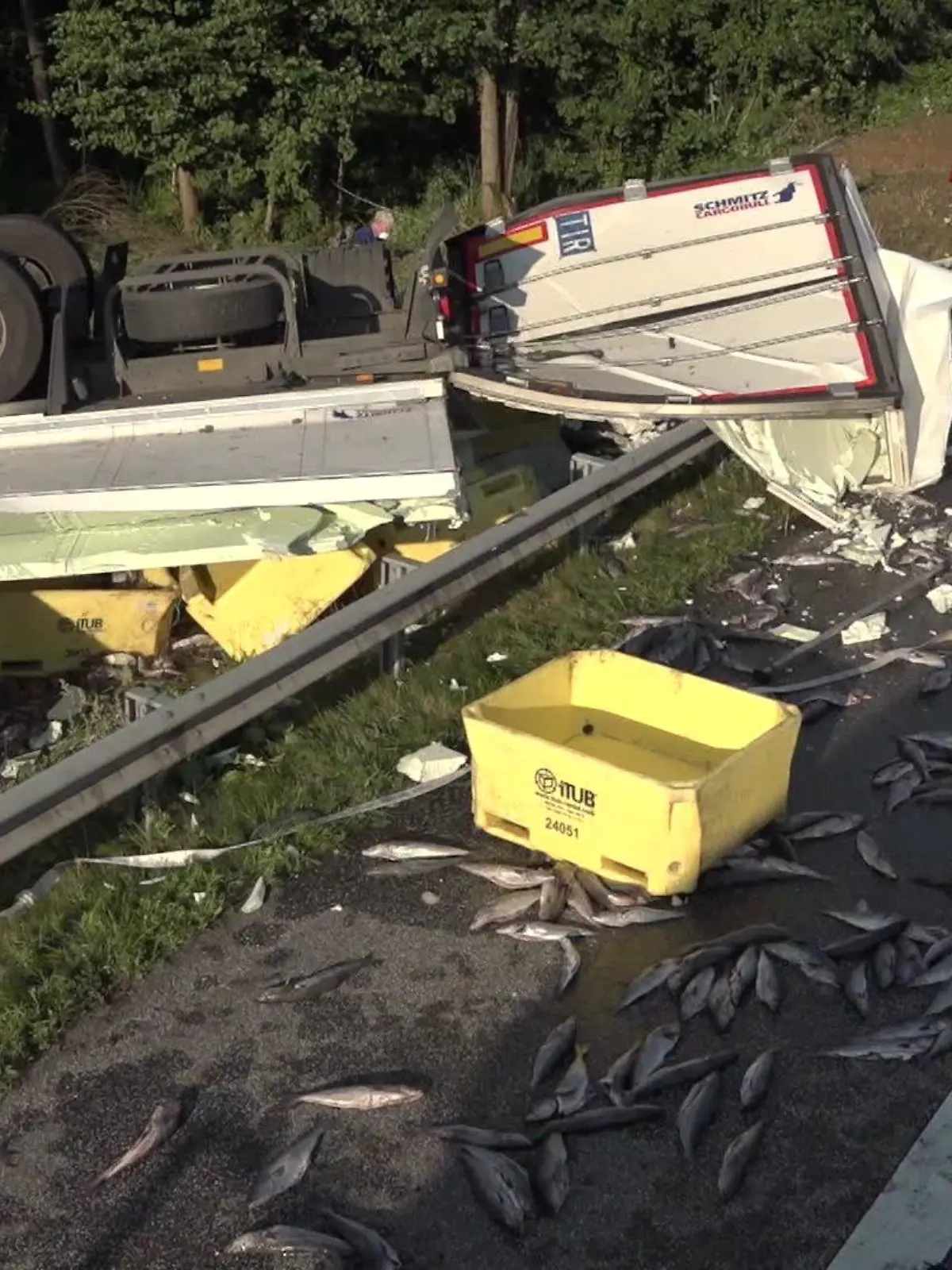LKW-Unfall mit Fischen