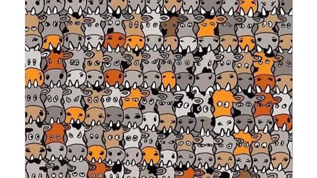 Suchbild: Hund versteckt sich zwischen Kühen