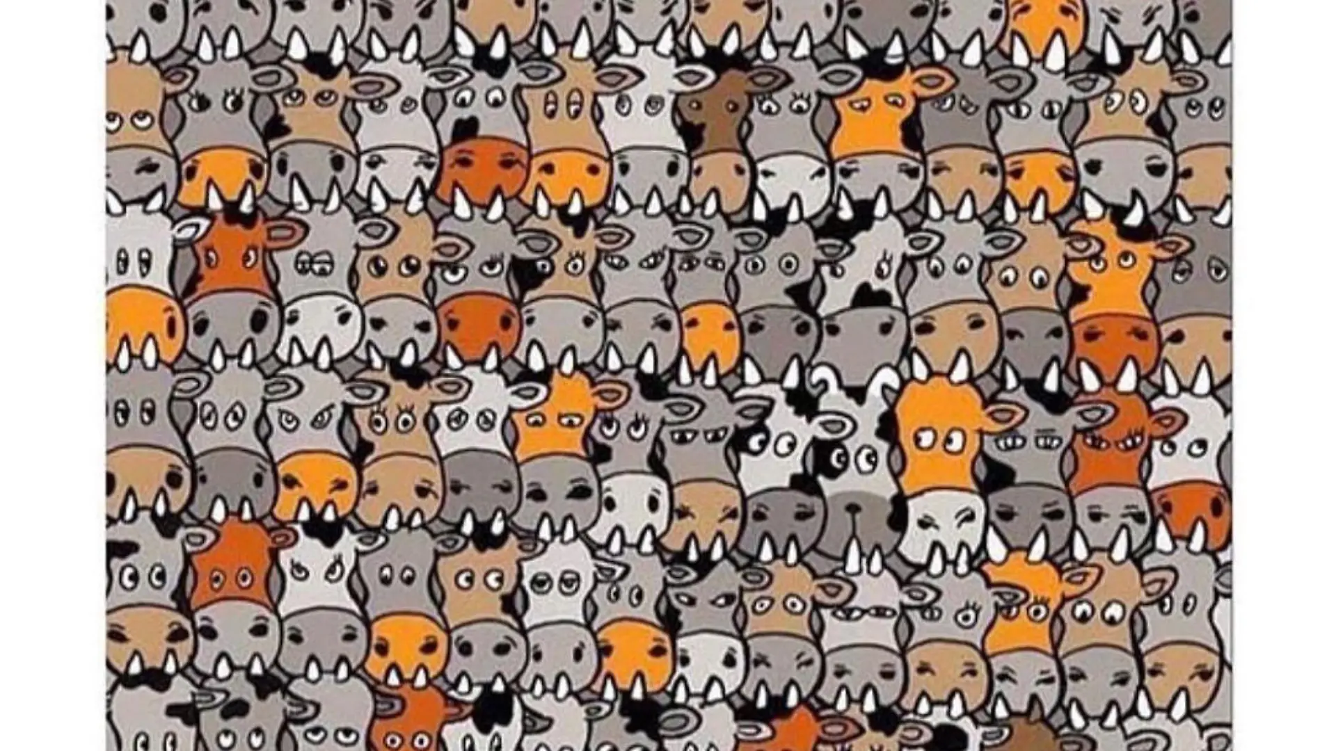 Suchbild: Hund versteckt sich zwischen Kühen