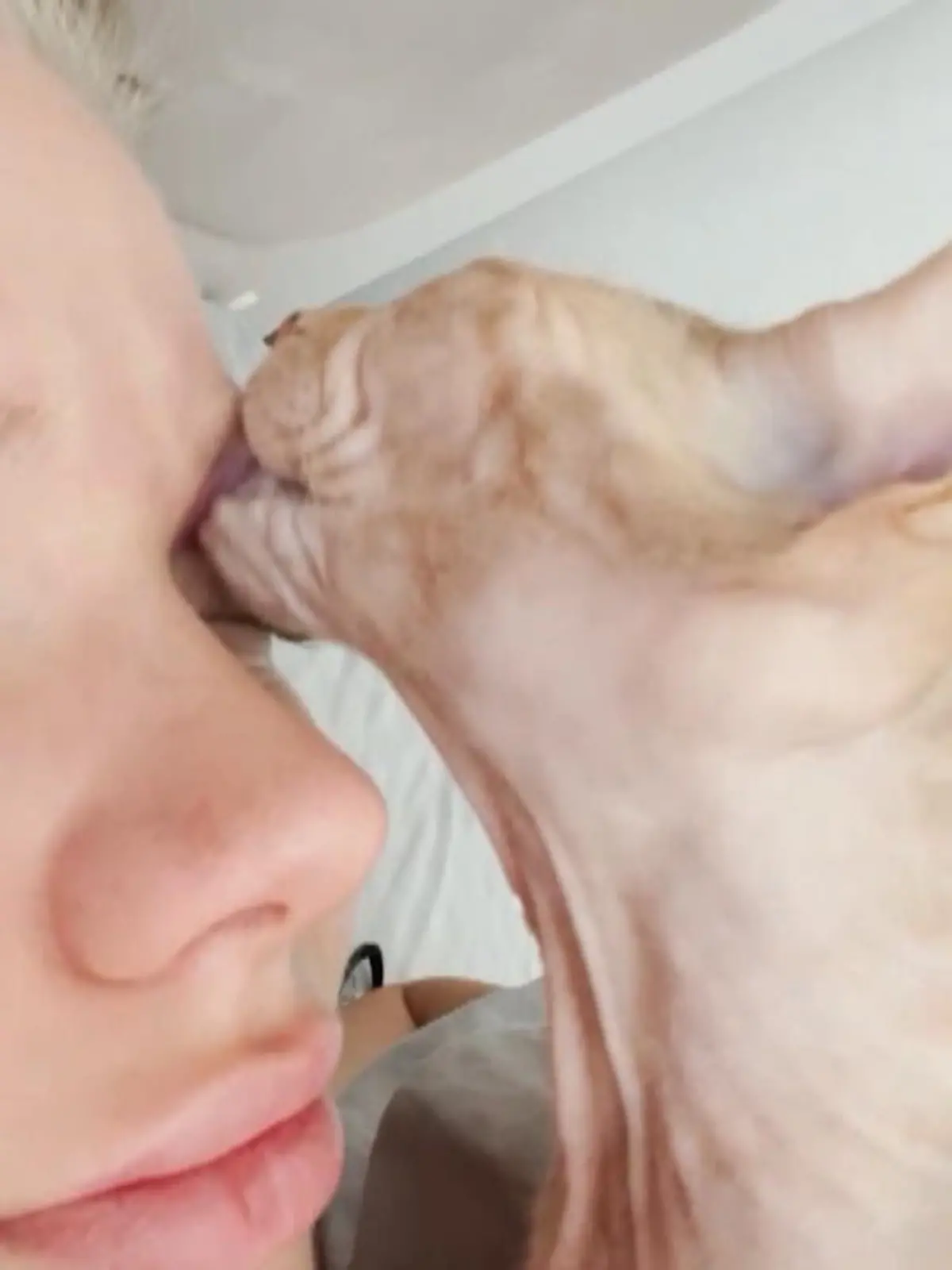 Bild zu: "Kater hat seltsamen Fetisch"