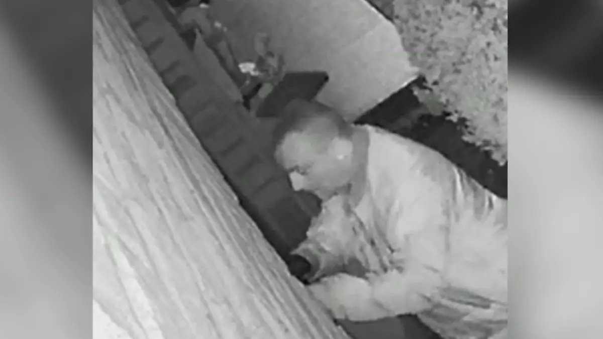 Der Tatverdächtige Nummer 2