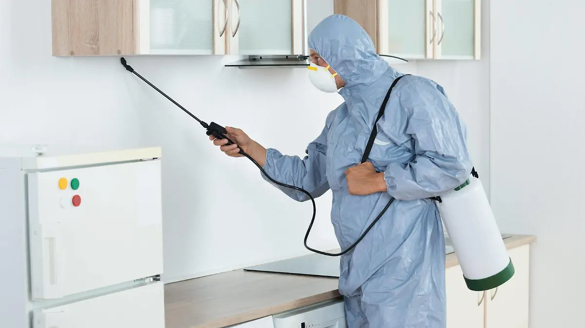 Ravensburg: Ein neun Monate altes Baby stirbt mit Vergiftungssymptomen nach Schädlingsbekämpfung in Wohnung