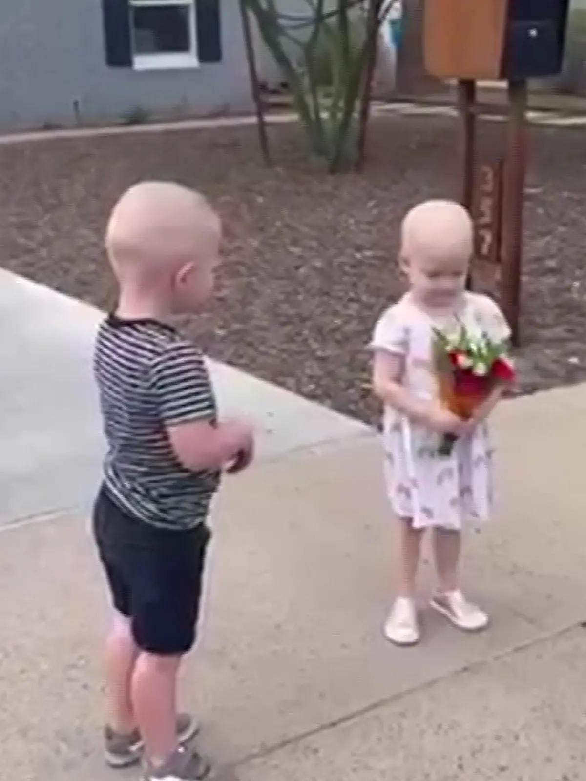 Mack Porter (3) & Payson Altice (3) kämpften gemeinsam gegen den Krebs und wurden dabei unzertrennlich, Jetzt gab es ein Wiedersehen außerhalb des Krankenhauses in Phoenix.