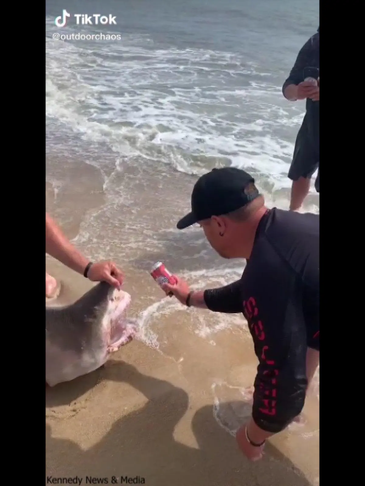US-Fischer quälen einen Hai am Strand von Florida