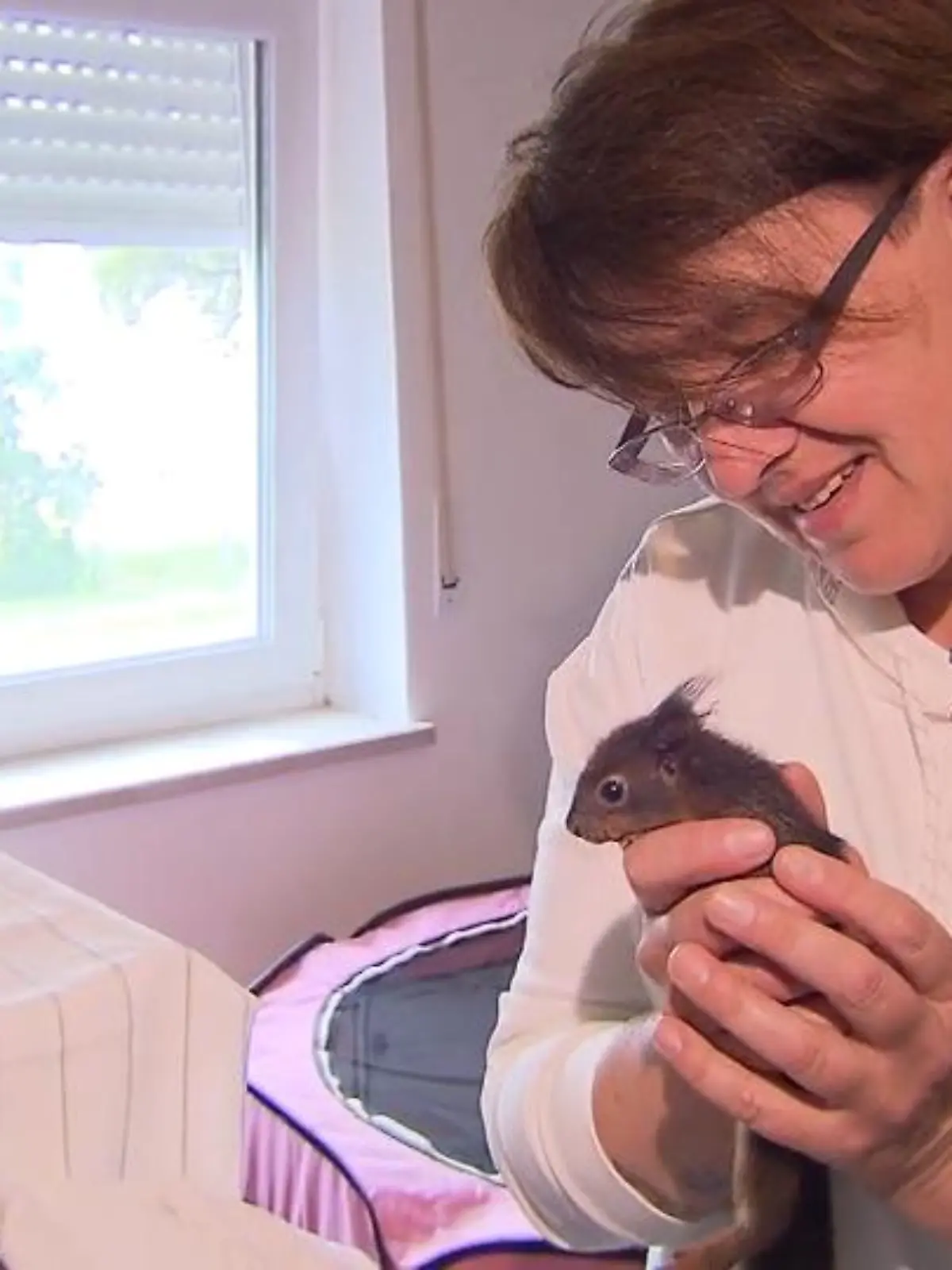 Normalerweise gibt Andrea Rothamer aus Barbing, im Kreis Regensburg, Tieren ein neues Zuhause, nun sucht sie selbst eines. Um insgesamt 80 Tiere, die verletzt gefunden wurden und ohne sie wahrscheinlich nicht überlebt hätten kümmert sich die Tier-Mama und das ist ein echter 24-Stunden Job. Doch jetzt droht ihrer Tierrettung plötzlich das Aus, warum erfahren Sie oben im Video.