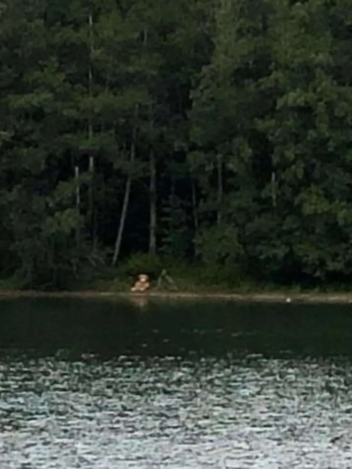 Stellte Emmas Liebhaber diesen Teddy am Seeufer auf, um ihr Mut zu machen?