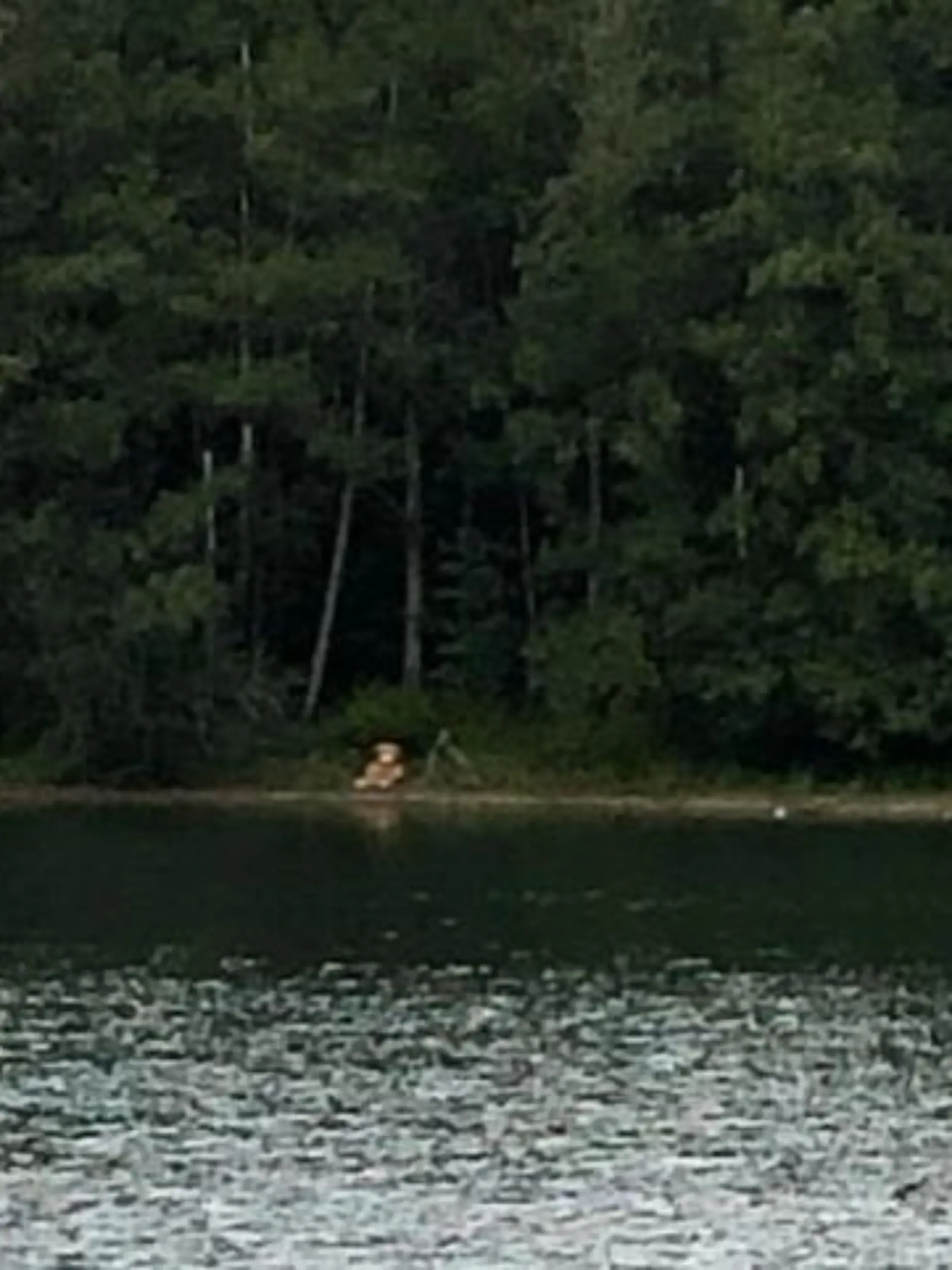 Stellte Emmas Liebhaber diesen Teddy am Seeufer auf, um ihr Mut zu machen?