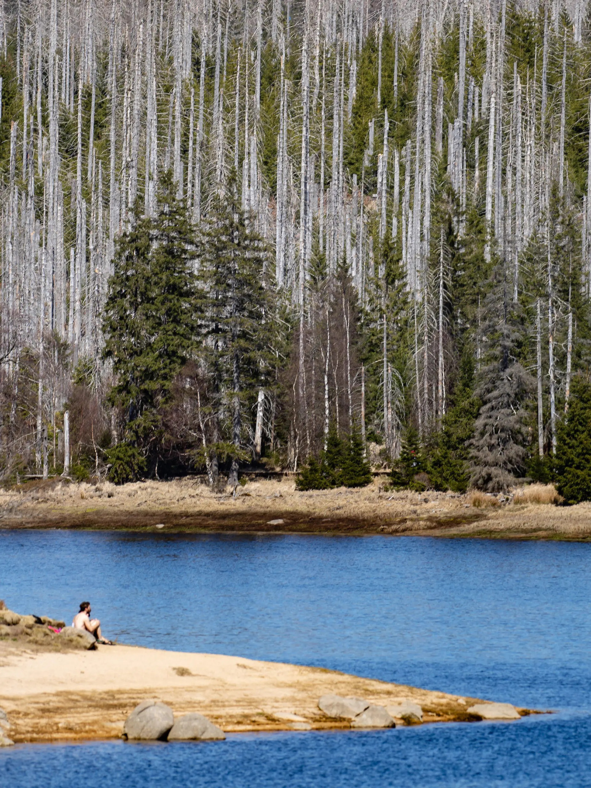 11.04.2020, Niedersachsen, Oderbrück: Wanderer sitzen am Oderteich im Harz vor teilweise abgestorbenen Fichten. Durch Maßnahmen zur Eindämmung des Coronavirus wird das öffentliche Leben in Niedersachsen massiv beeinträchtigt. Foto: Swen Pförtner/dpa +++ dpa-Bildfunk +++