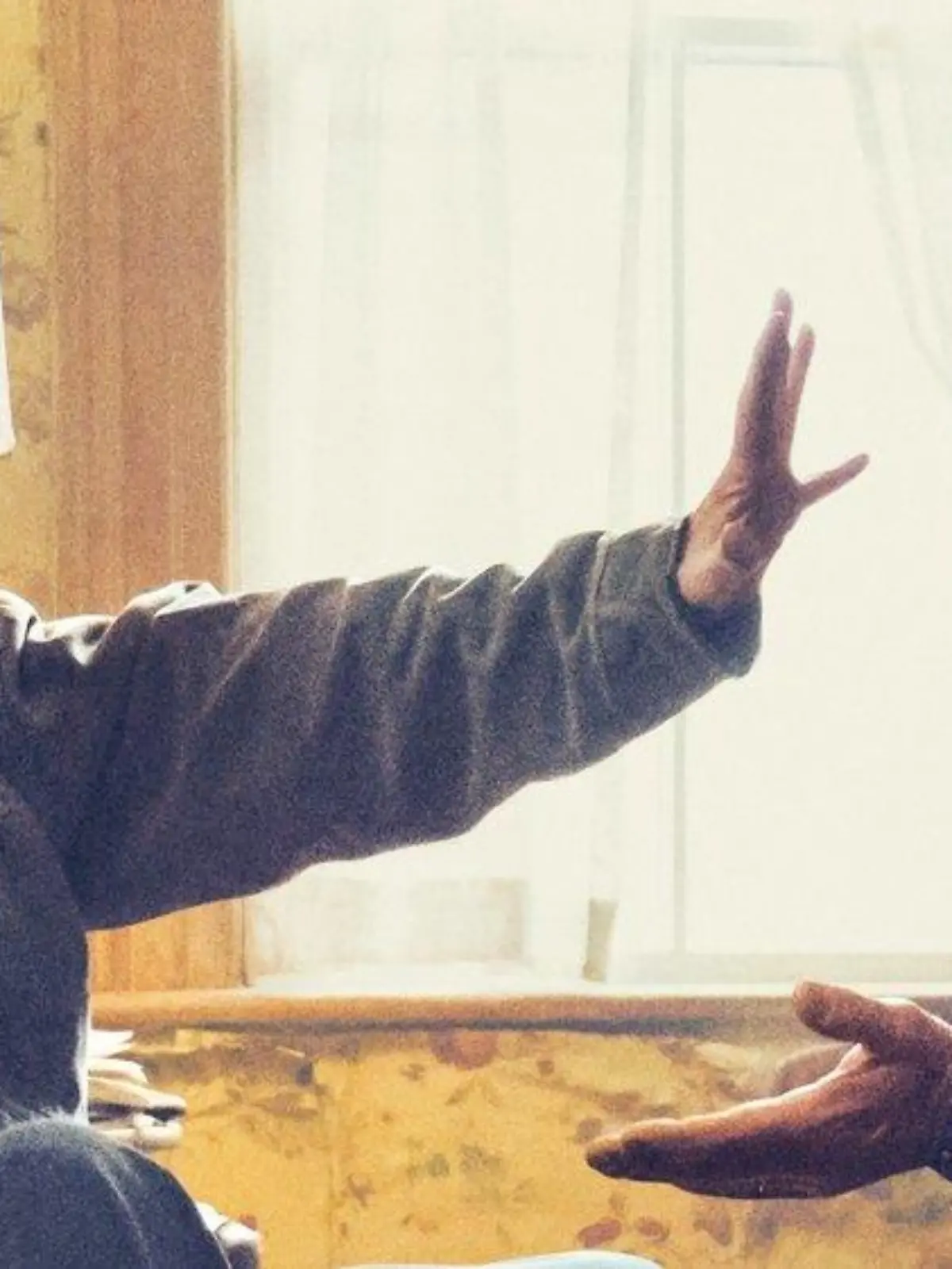"Falling": Ein Gesamtkunstwerk von und mit Viggo Mortensen