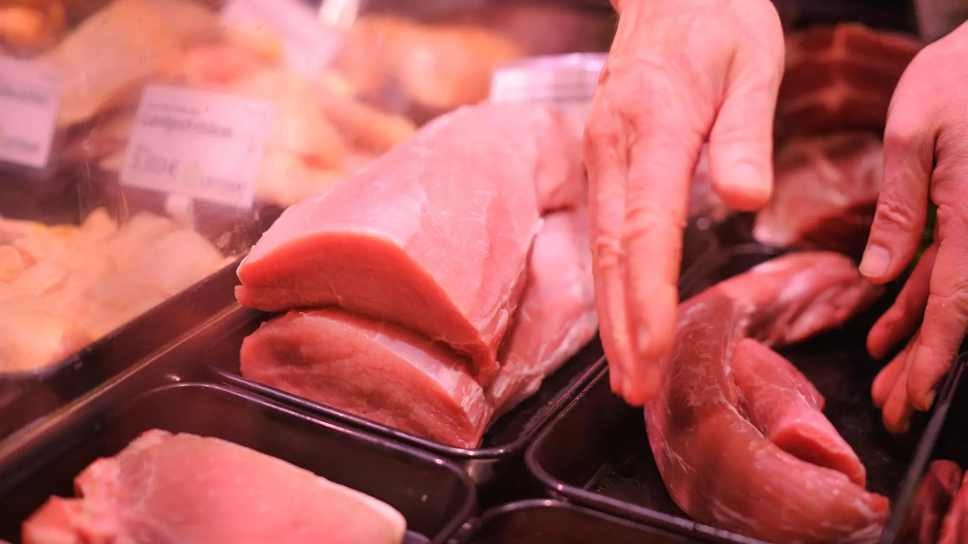 Metzgerei, Fleischprodukte. Fleisch und Fleischprodukte wird von einem Metzger vorbereitet. Stuttgart Baden-Wuerttemberg Deutschland *** Butchers shop, meat products meat and meat products is prepared by a butcher Stuttgart Baden Wuerttemberg Germany Copyright: xMaxxKovalenkox