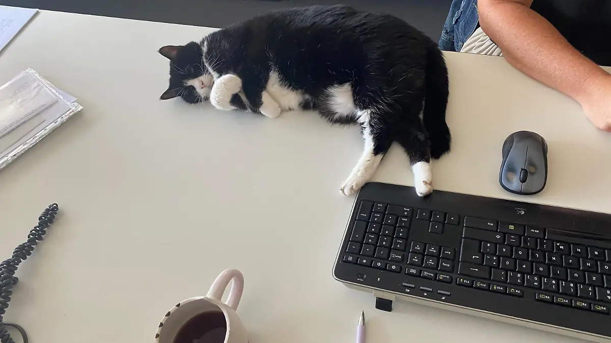 Die alte Dame braucht mal eine Pause