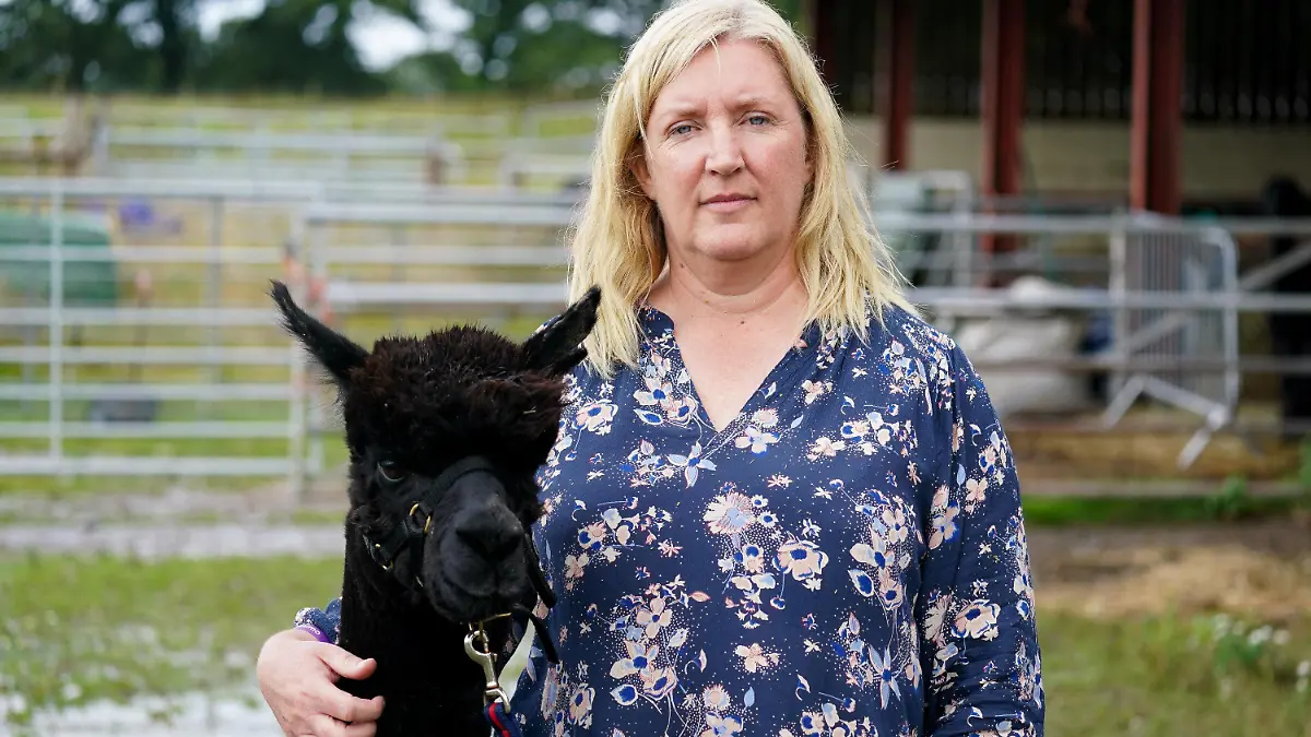 06.08.2021, Großbritannien, Wooton Under Edge: Das Alpaka mit dem Namen «Geronimo» und seine Besitzerin Helen Macdonald stehen auf der Shepherds Close Farm. Verzweifelt kämpft eine Landwirtin in England um ihr angeblich an ansteckender Rindertuberkulose erkranktes Alpaka. Das Umweltministerium hat Helen Macdonald auferlegt, Geronimo einschläfern zu lassen, andernfalls übernehme dies die Polizei. Gerichte wiesen Klagen der 50-Jährigen gegen die Entscheidung ab. Foto: Jacob King/PA Wire/dpa +++ dpa-Bildfunk +++