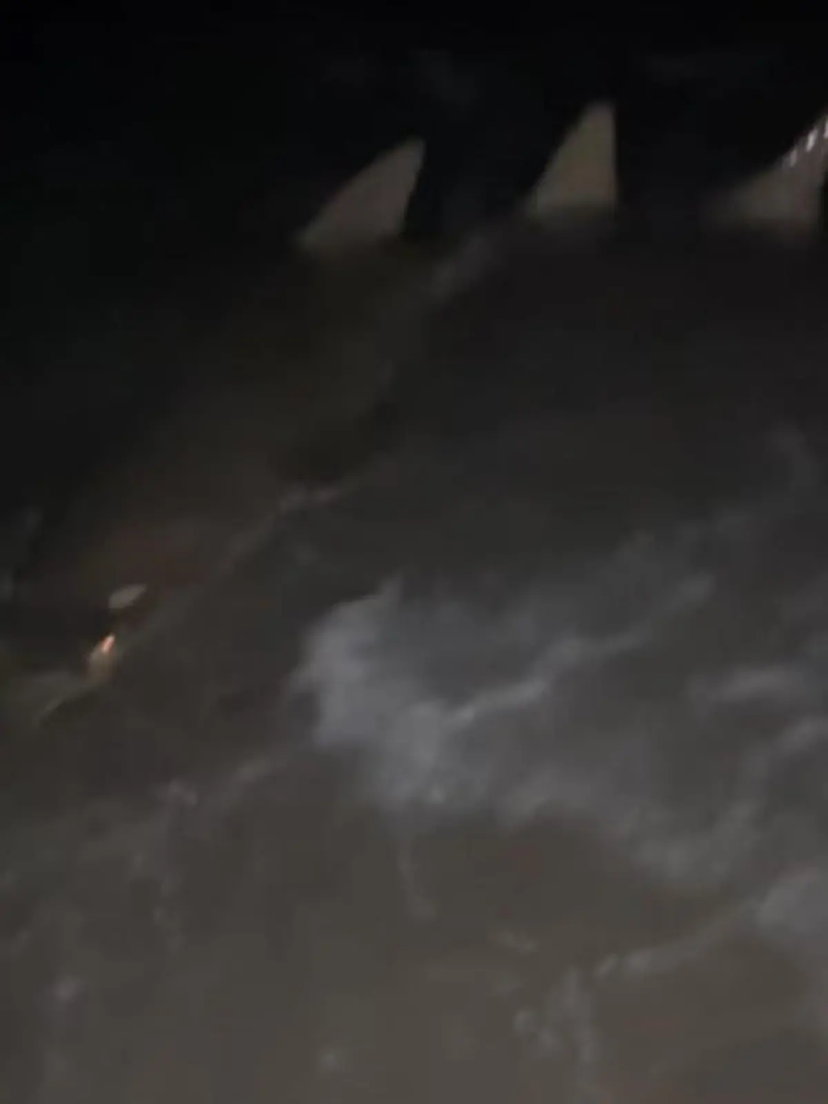 In Florida machen zwei Freunde einen seltenen Fang: Sie haben einen Sägerochen an der Angel. Dieser Fisch ist selten und vom Aussterben bedroht.