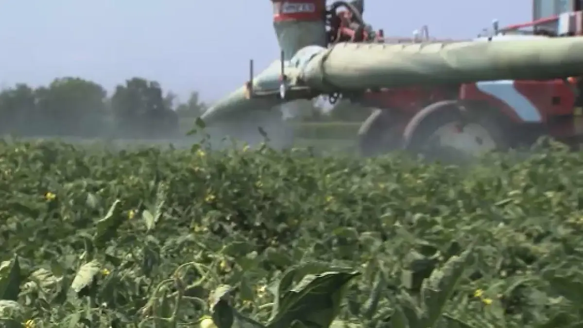 Solche giftigen „Bienenkiller“ sind inzwischen in Deutschland und der EU verboten. Trotzdem werden jedes Jahr riesige Mengen weiter produziert – und in die Welt verkauft.