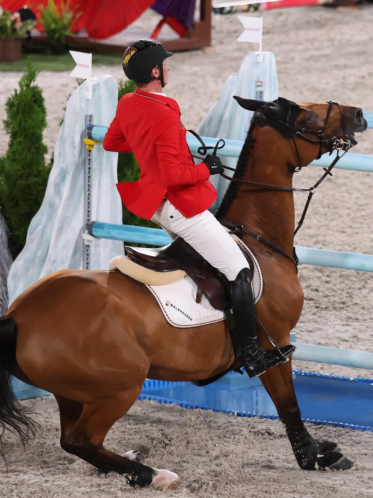 07.08.2021, Japan, Tokio: Pferdesport/Springen: Olympia, Mannschaft, Finale im Equestrian Park. Daniel Deußer aus Deutschland stoppt mit Killer Queen vor einem Hindernis. Foto: Friso Gentsch/dpa +++ dpa-Bildfunk +++