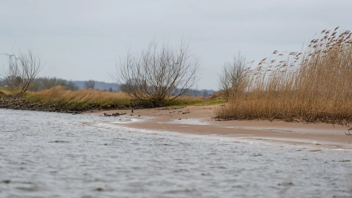 02.04.2021, Niedersachsen, Drage: Das Elbufer unweit vom Ort Drage. Spaziergänger hatten am Elbstrand Teile menschliche Knochen gefunden. Ob ein Zusammenhang zu Straftaten oder Vermisstenfällen besteht, muss noch geklärt werden. Foto: Philipp Schulze/dpa +++ dpa-Bildfunk +++