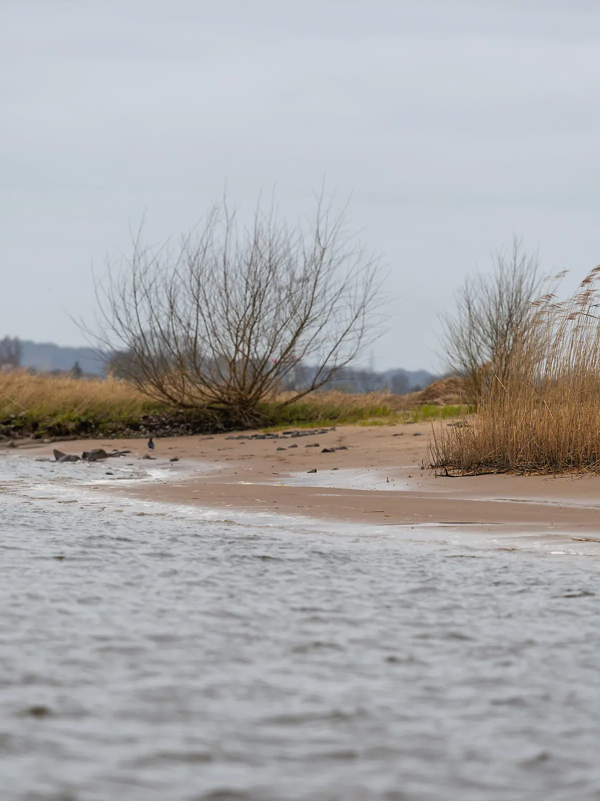 02.04.2021, Niedersachsen, Drage: Das Elbufer unweit vom Ort Drage. Spaziergänger hatten am Elbstrand Teile menschliche Knochen gefunden. Ob ein Zusammenhang zu Straftaten oder Vermisstenfällen besteht, muss noch geklärt werden. Foto: Philipp Schulze/dpa +++ dpa-Bildfunk +++