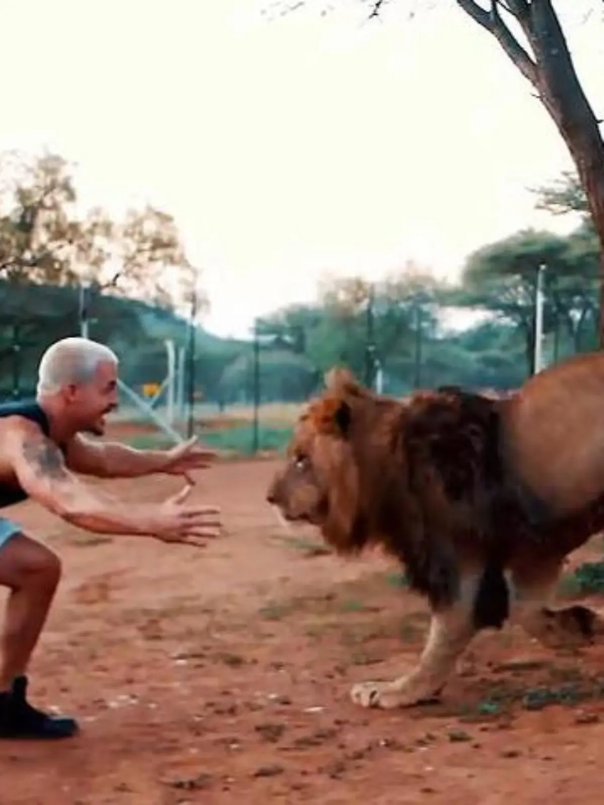 Bild zu: "Dean und Bodo leben wie Joe Exotic"