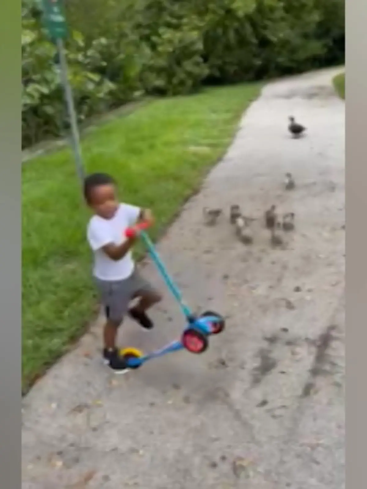 Bild zu: "Kevin (4) ist ganz Gentleman"
