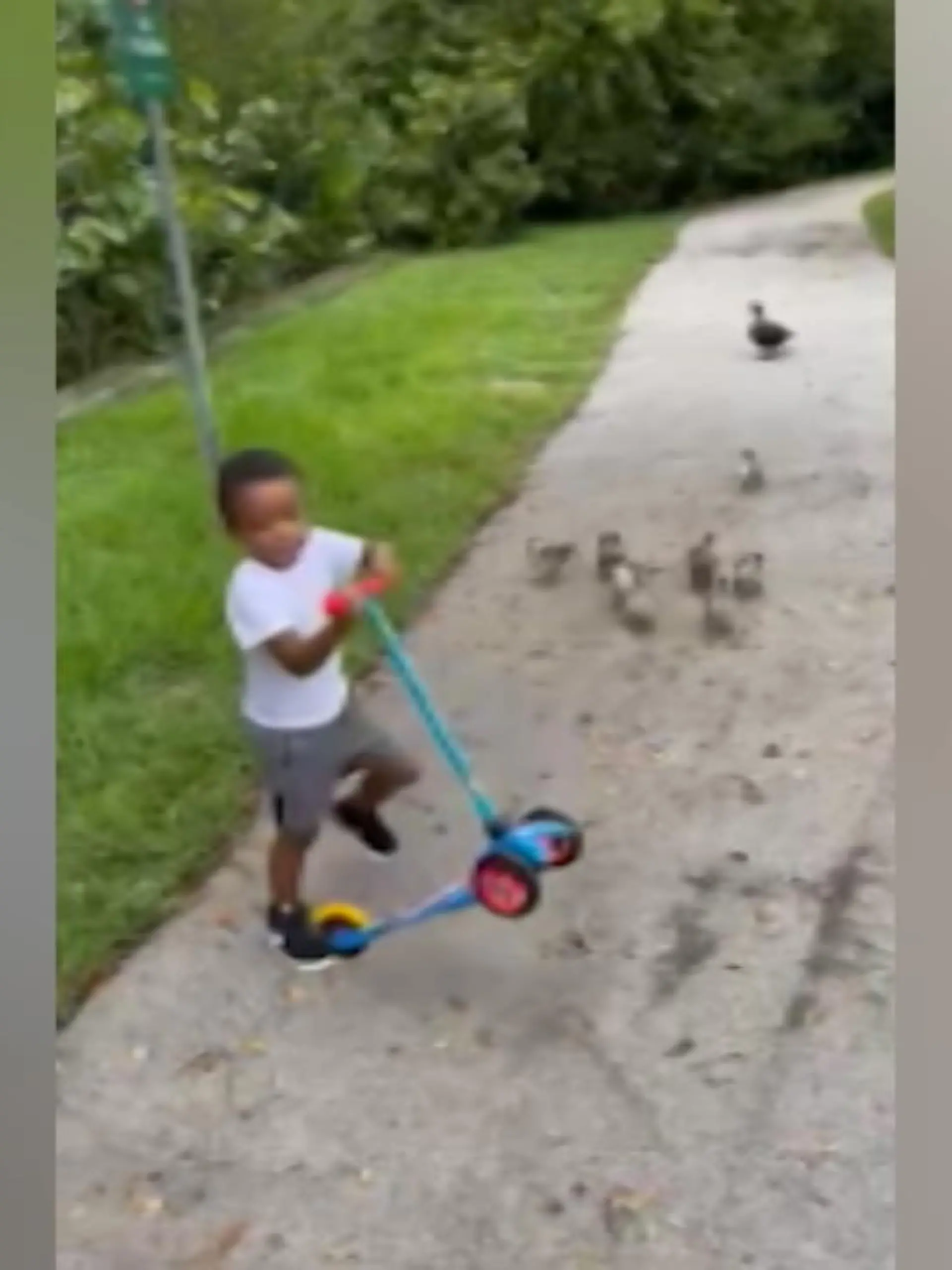 Bild zu: "Kevin (4) ist ganz Gentleman"