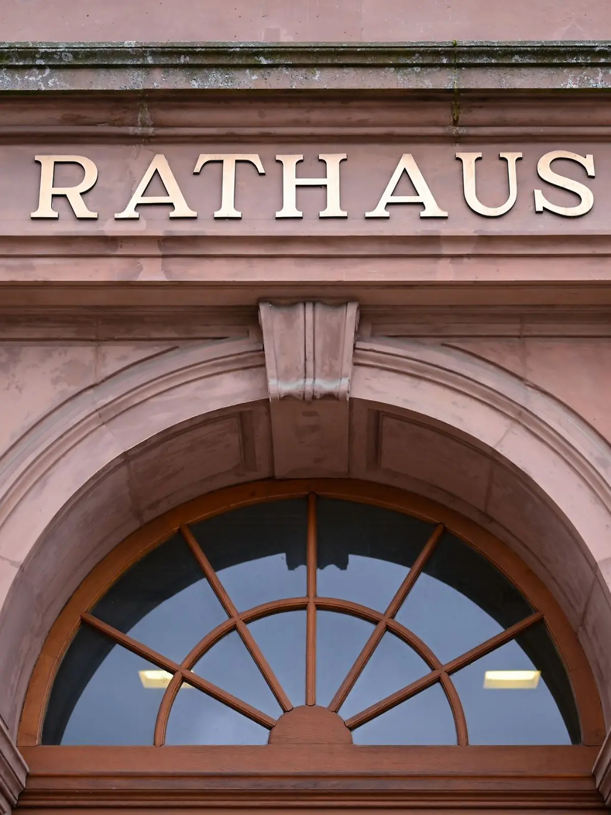 Bild zu: "AfD-Bürgermeisterin in Bad Salzuflen"