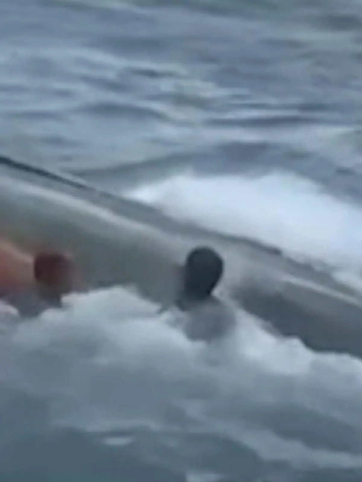 Bild zu: "Sturmwarnung ignoriert! XXL-Wellen werfen Touristenboot um"