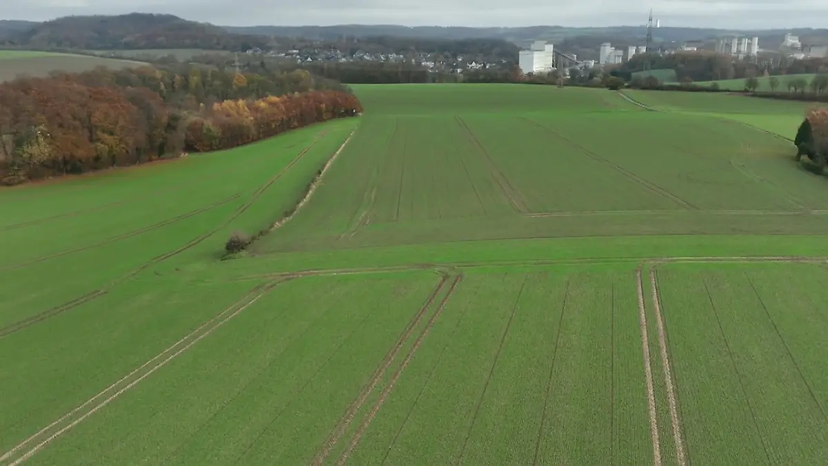 Land will weniger Einsatz von Pflanzenschutzmittel Ministerin mit Strategie