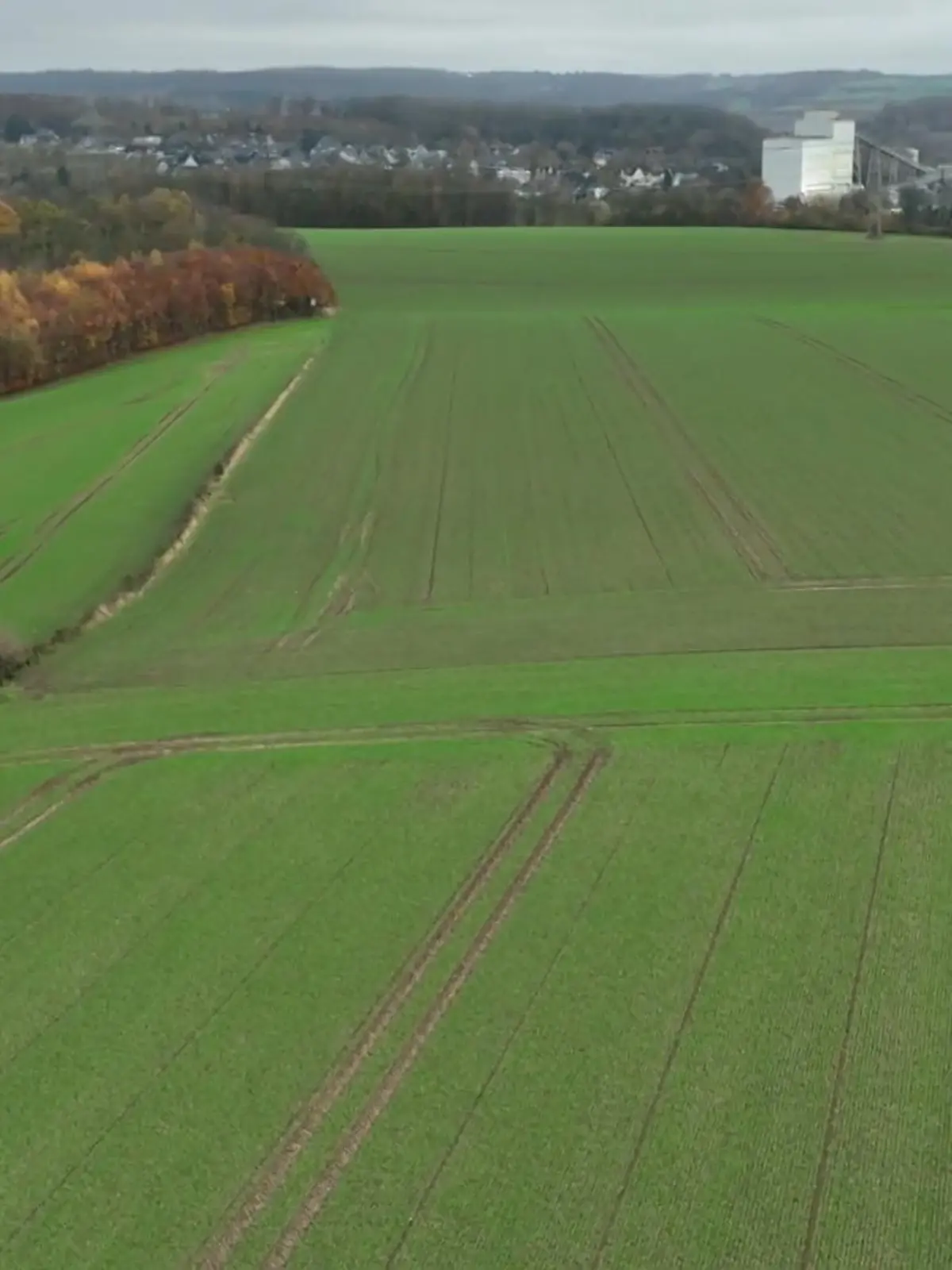 Bild zu: "Land will weniger Einsatz von Pflanzenschutzmittel"