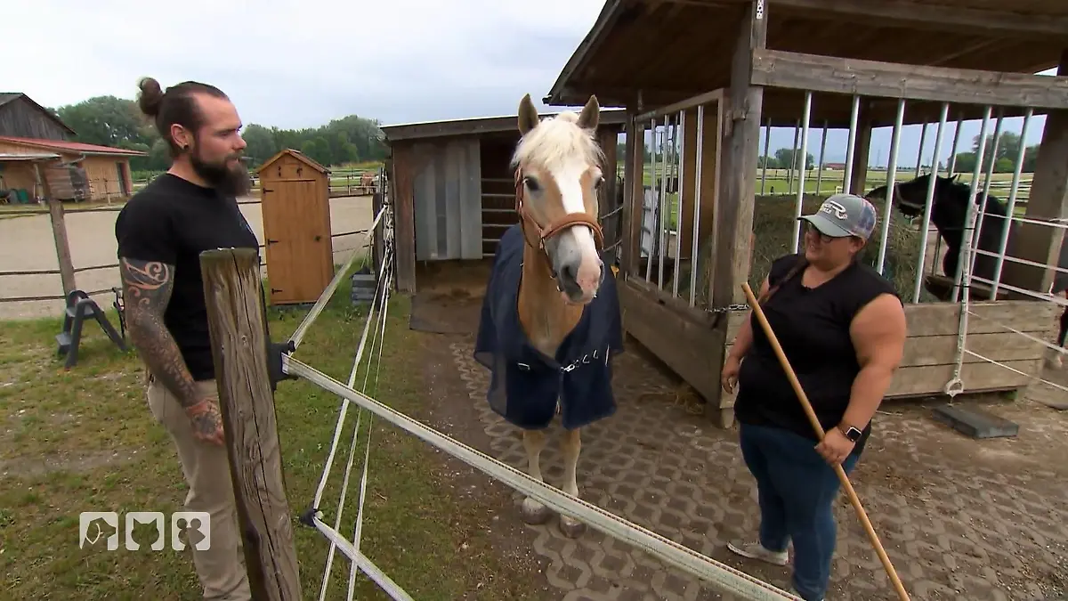 Oliver Fritsch behandelt Napoleon Hilfe für einen verletzten Vierbeiner