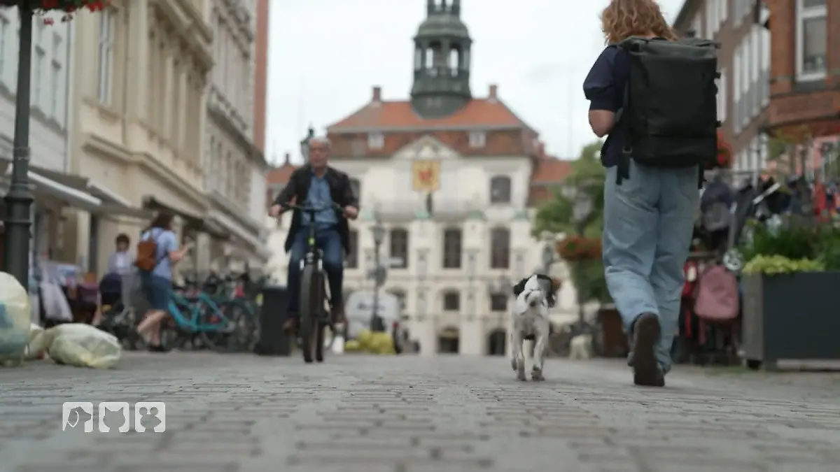 Kate Kitchenham übt mit Hund Boo das Verhalten in der Stadt Alltagstraining
