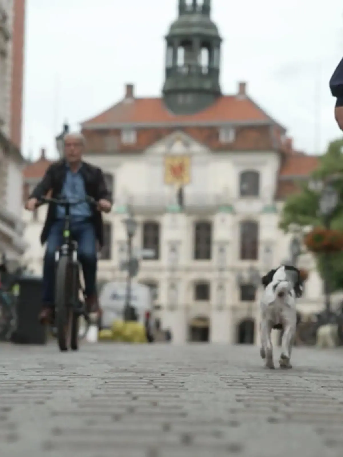 Bild zu: "Kate Kitchenham übt mit Hund Boo das Verhalten in der Stadt"