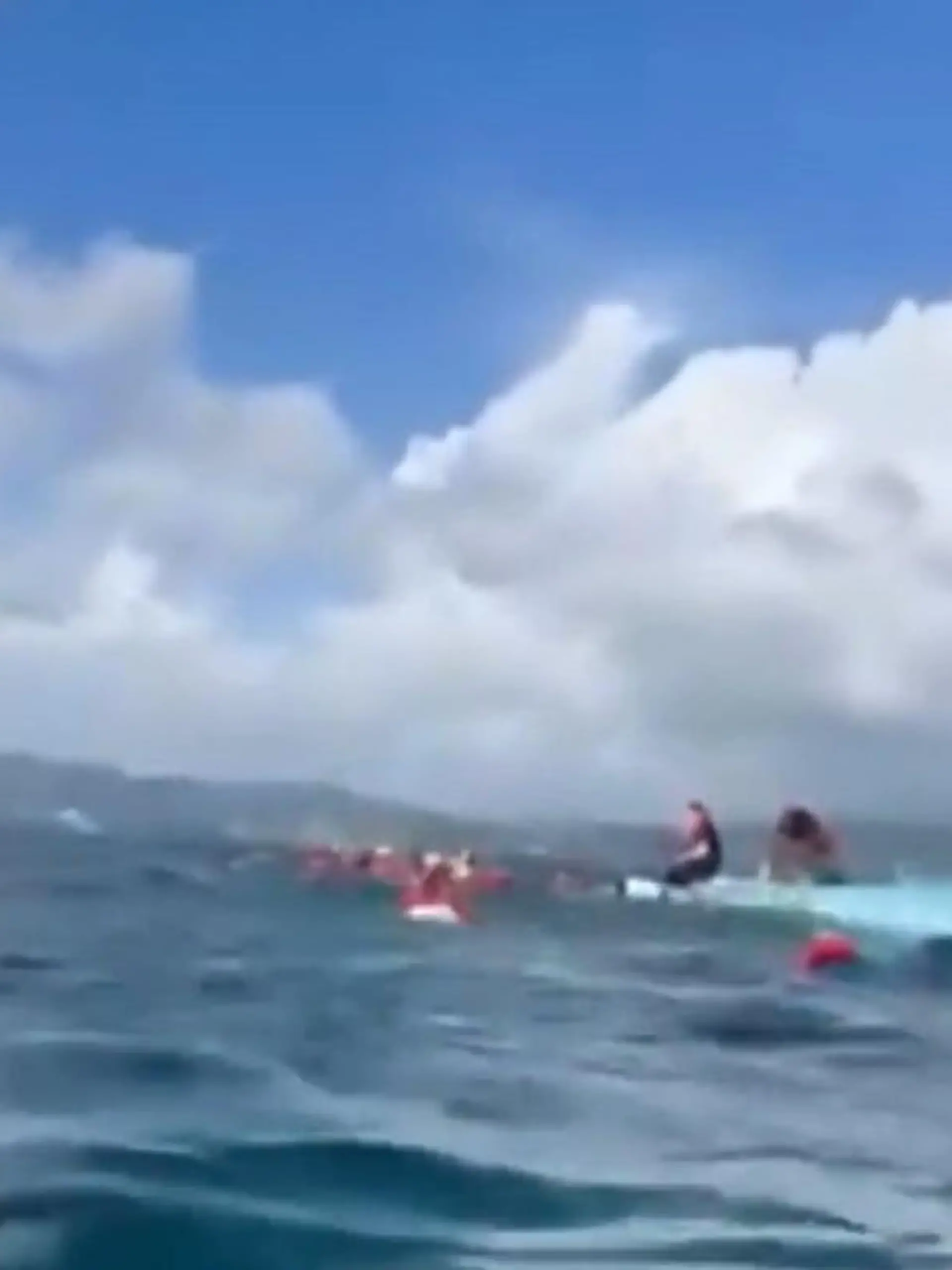 Bild zu: "Kreuzfahrer-Ausflugsboot gekentert!"